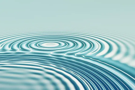 벳비어드 카지노 지원